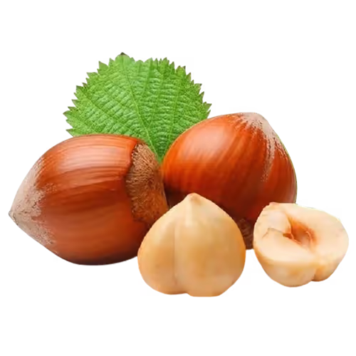فندق