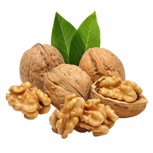 گردو