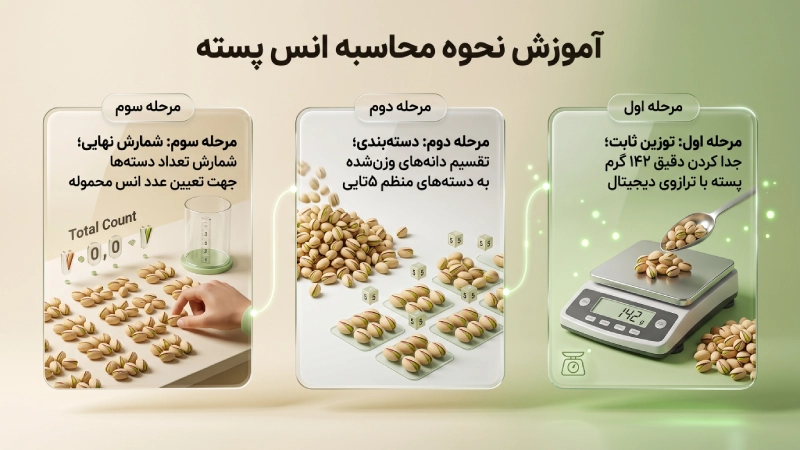 آموزش نحوه محاسبه انس پسته