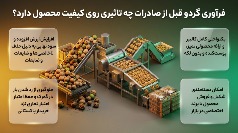 فرآوری گردو قبل از صادرات چه تاثیری روی کیفیت محصول دارد؟