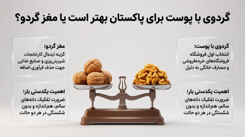 گردوی با پوست برای پاکستان بهتر است یا مغز گردو؟