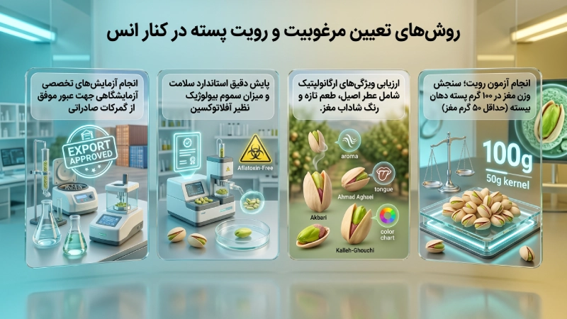 روش‌های تعیین مرغوبیت و رویت پسته در کنار انس