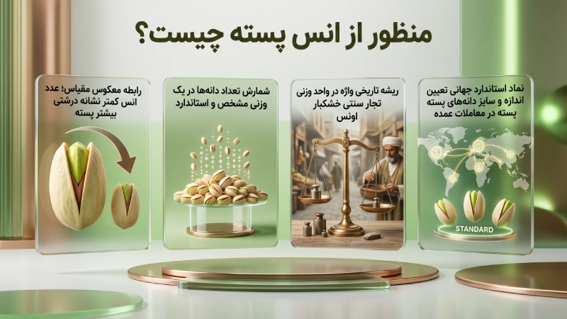 منظور از انس پسته چیست؟