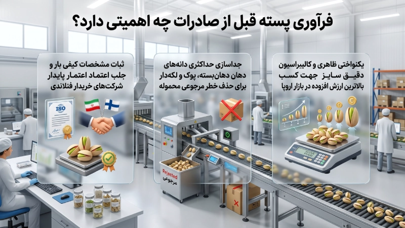 فرآوری پسته قبل از صادرات چه اهمیتی دارد
