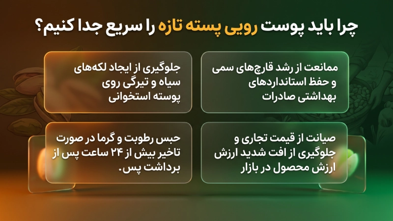 چرا باید پوست رویی پسته تازه را سریع جدا کنیم