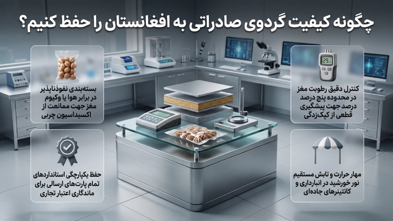 بهترین مسیر برای صادرات گردو به افغانستان