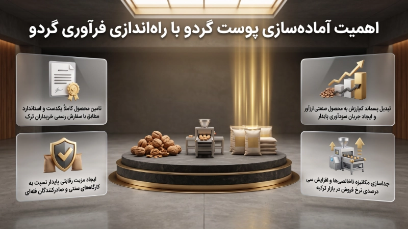 اهمیت آماده سازی پوست گردو با راه اندازی فرآوری گردو