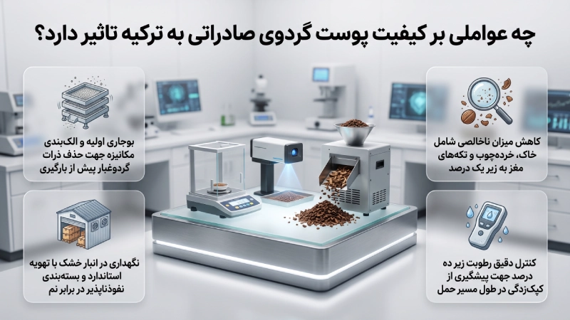 چه عواملی بر کیفیت پوست گردوی صادراتی به ترکیه تاثیر دارد؟