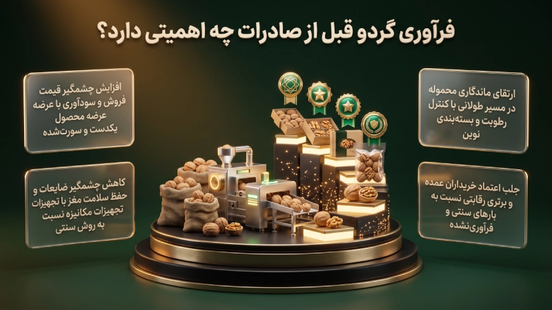فرآوری گردو قبل از صادرات چه اهمیتی دارد