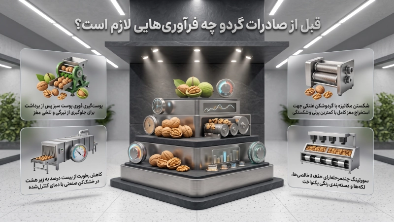 قبل از صادرات گردو چه فرآوریهایی لازم است