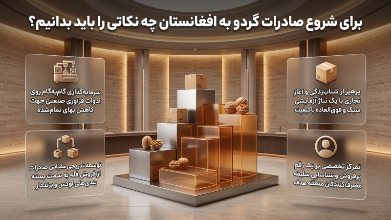 برای شروع صادرات گردو به افغانستان چه نکاتی را باید بدانیم