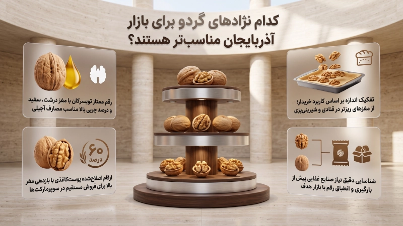کدام نژادهای گردو برای بازار آذربایجان مناسب تر هستند